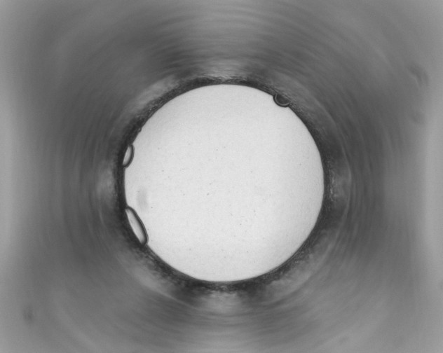 X0000111020256200907171901