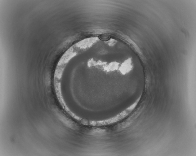 X0000111020257200907171901