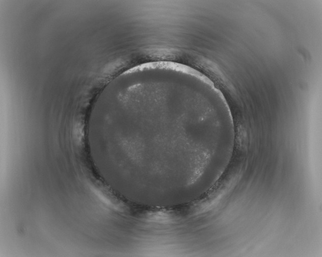 X0000111020259200907171901