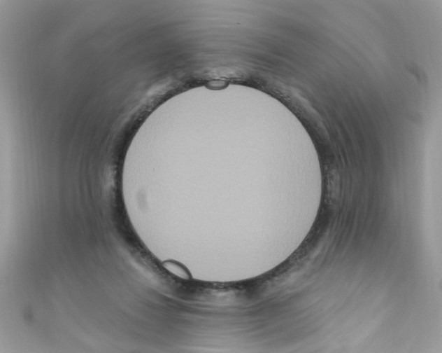 X0000111020260200907171901