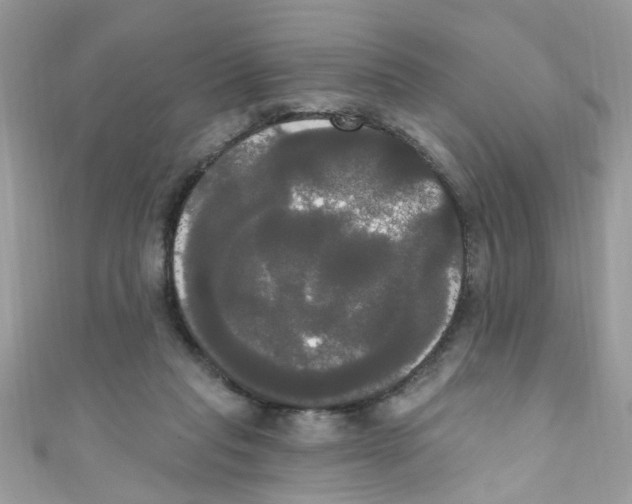 X0000111020261200907171901