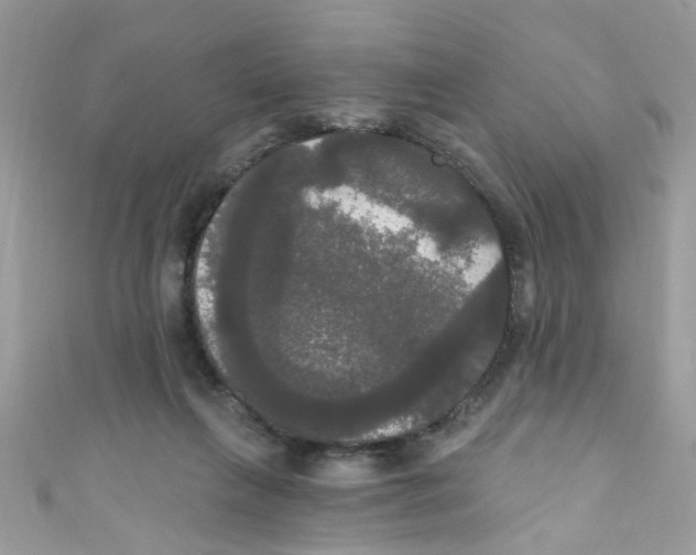 X0000111020263200907171901