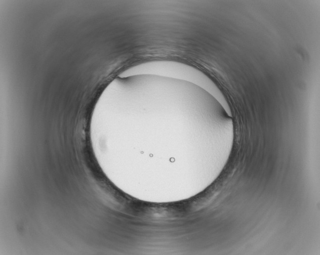 X0000111020264200907171901