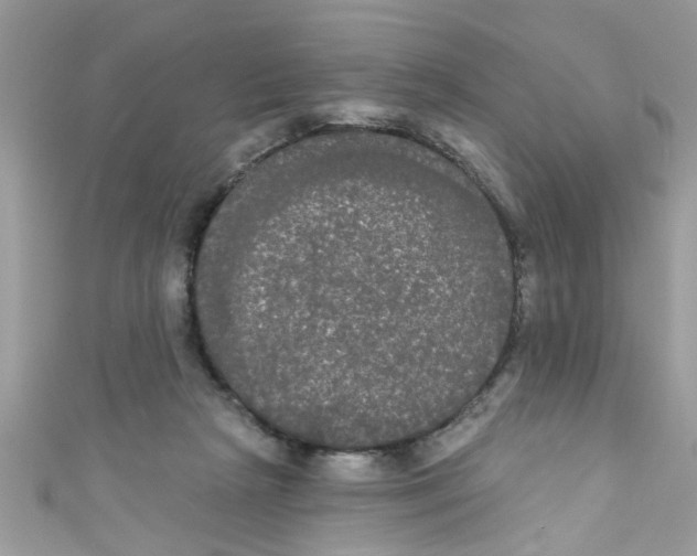 X0000111020265200907171901