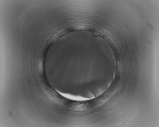 X0000111020267200907171901