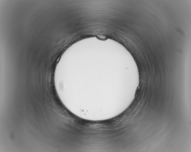 X0000111020268200907171901