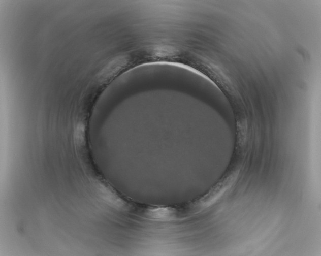 X0000111020269200907171901