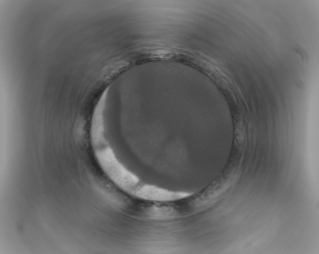 X0000111020270200907171901