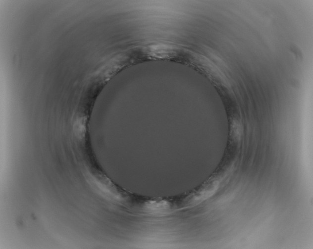 X0000111020271200907171901