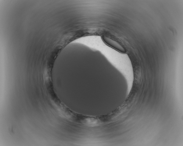X0000111020272200907171901