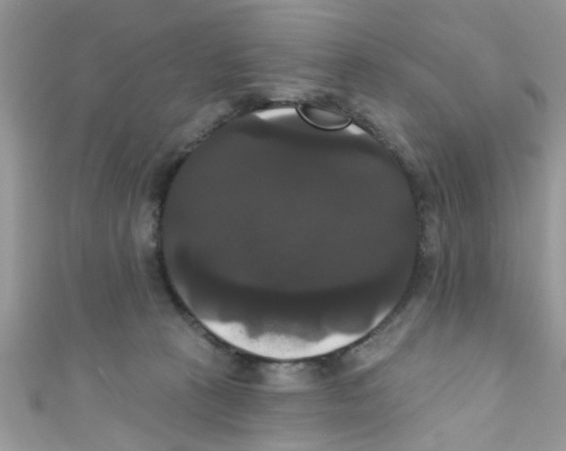 X0000111020273200907171901