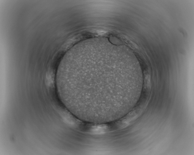 X0000111020274200907171901