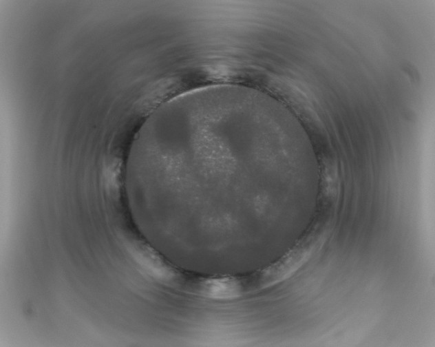X0000111020275200907171901