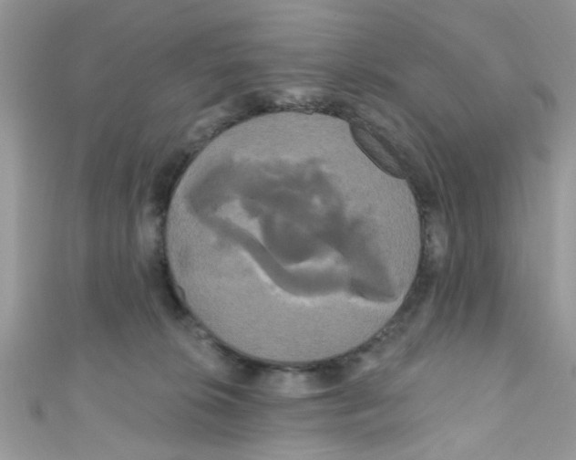 X0000111020276200907171901