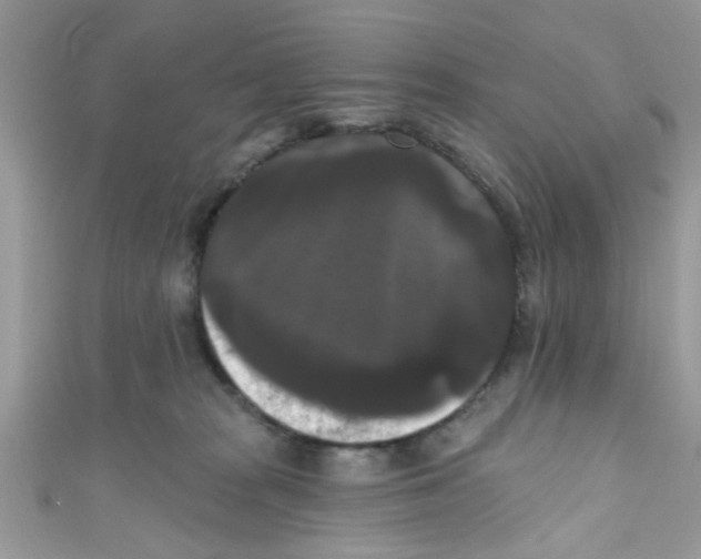 X0000111020277200907171901