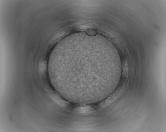 X0000111020278200907171901