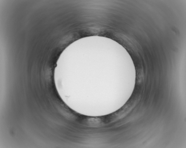 X0000111020279200907171901
