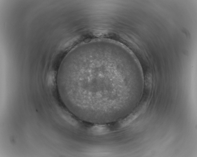 X0000111020280200907171901