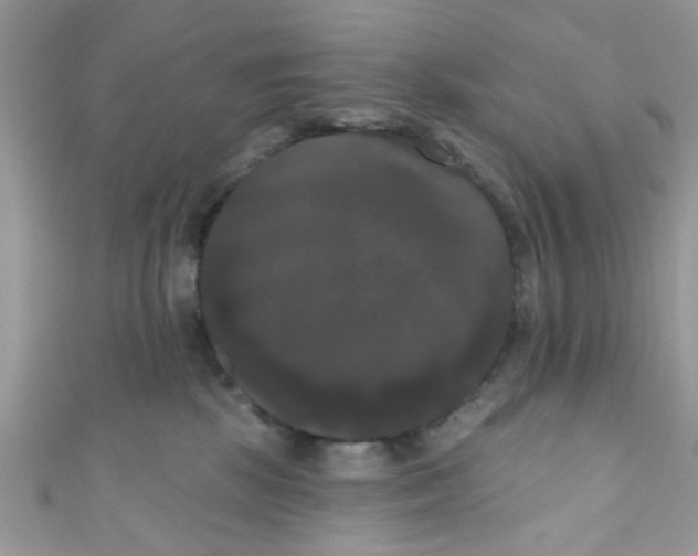 X0000111020281200907171901