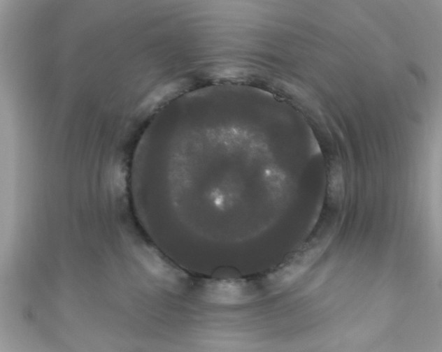 X0000111020282200907171901