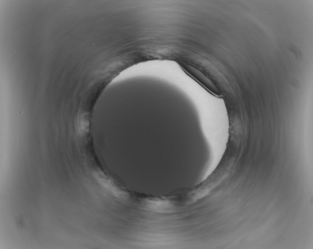 X0000111020284200907171901