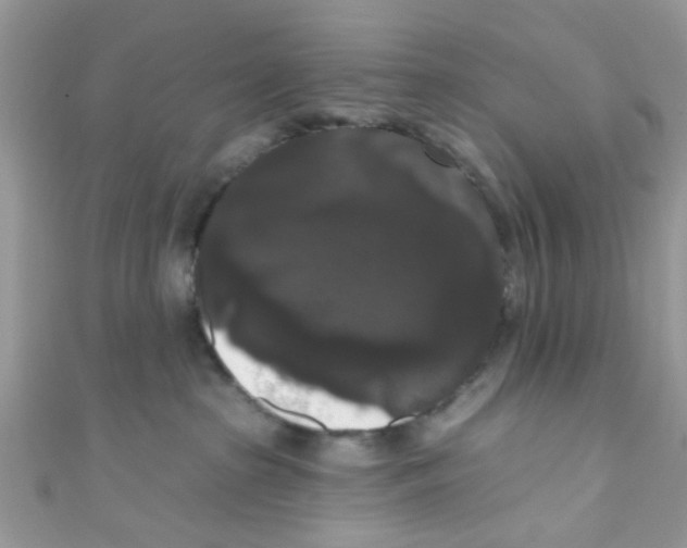 X0000111020285200907171901