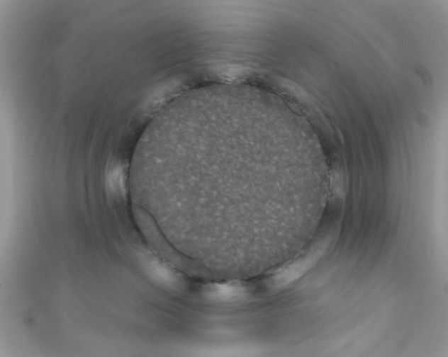 X0000111020286200907171901
