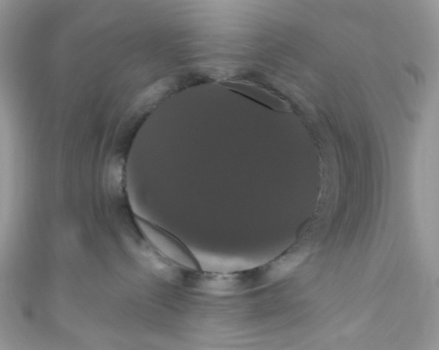X0000111020288200907171901