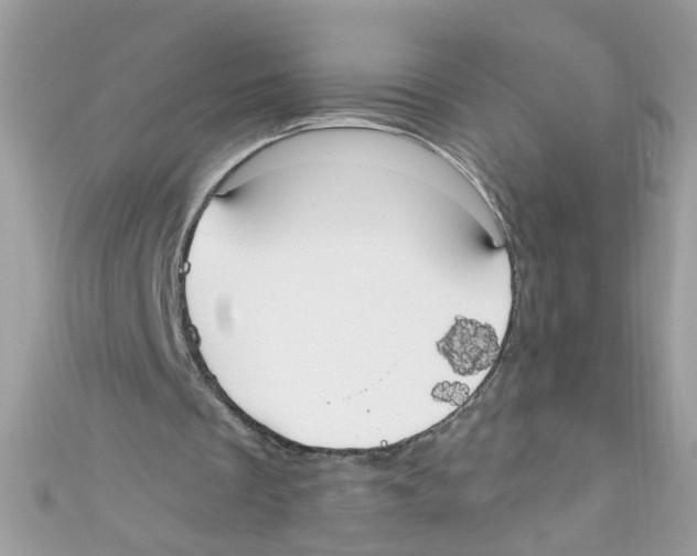 X0000111020289200907171901