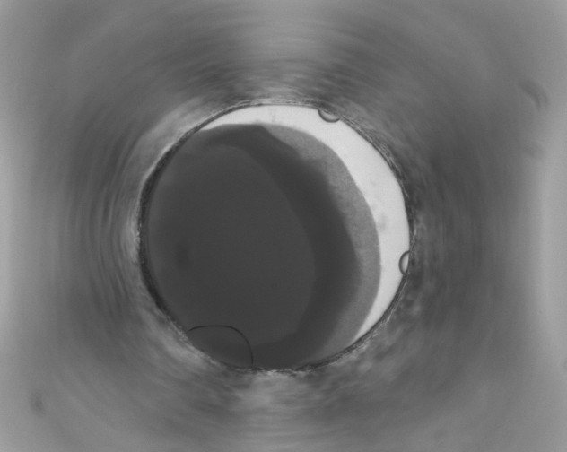 X0000111020290200907171901