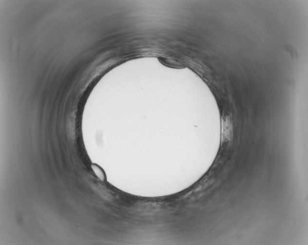 X0000111020291200907171901