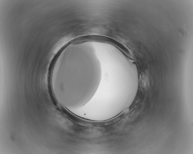X0000111020292200907171901