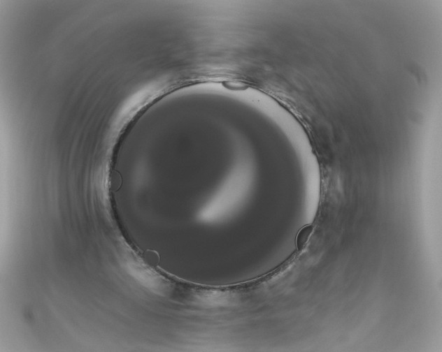 X0000111020293200907171901