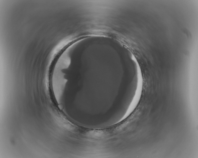 X0000111020294200907171901