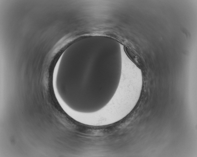 X0000111020295200907171901
