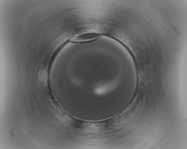 X0000111020297200907171901
