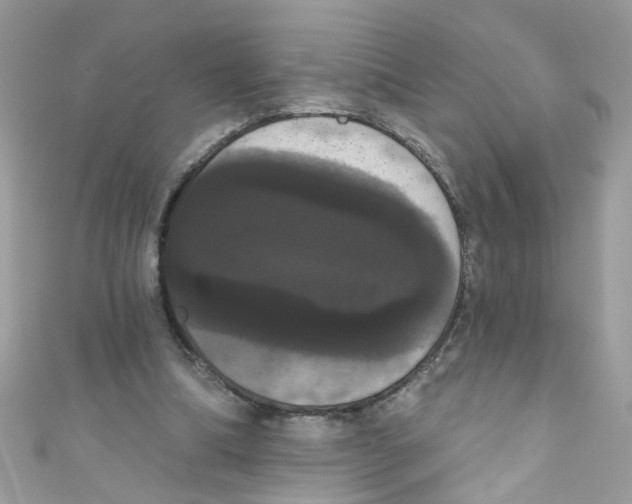 X0000111020298200907171901