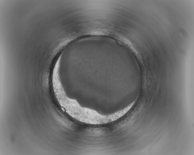 X0000111020299200907171901