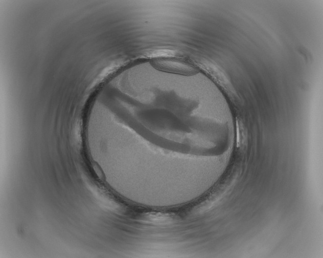 X0000111020300200907171901