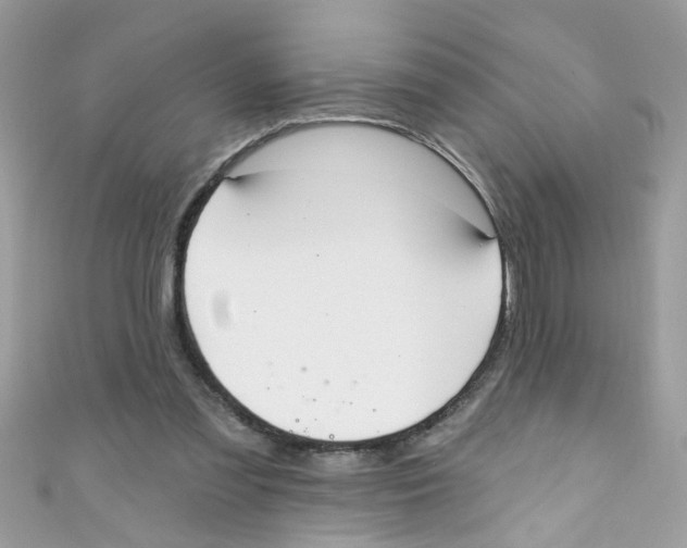 X0000111020301200907171901