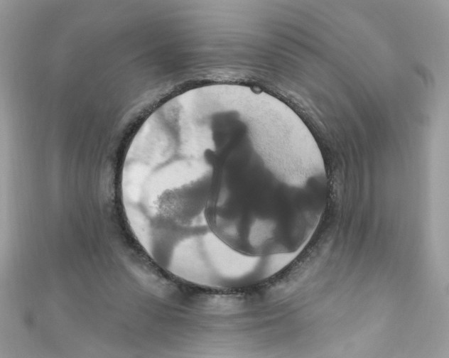 X0000111020303200907171901