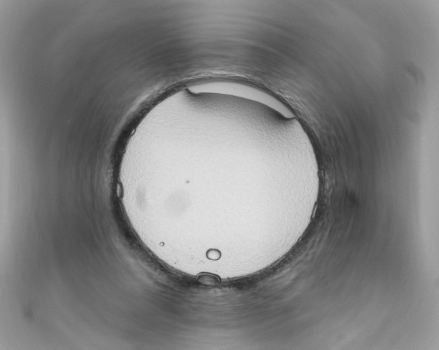 X0000111020304200907171901