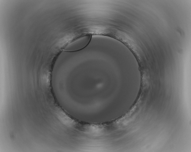 X0000111020305200907171901