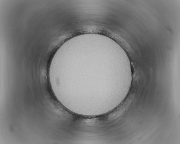 X0000111020306200907171901