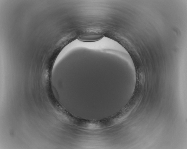 X0000111020308200907171900