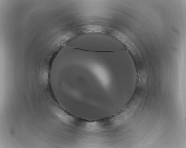 X0000111020309200907171900
