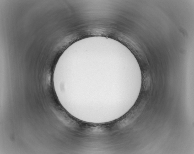 X0000111020310200907171900