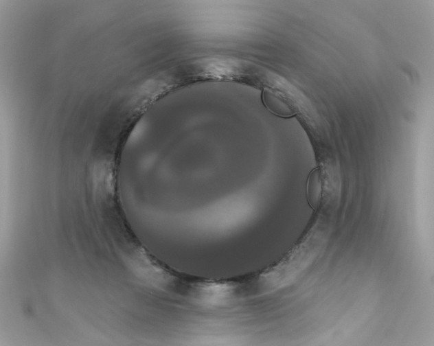 X0000111020313200907171900