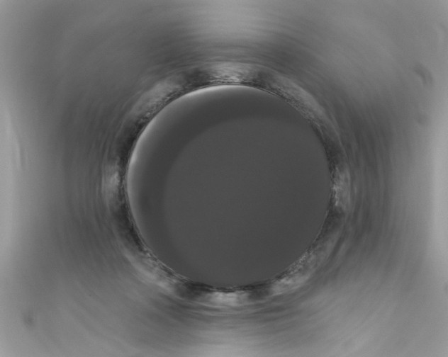 X0000111020314200907171900