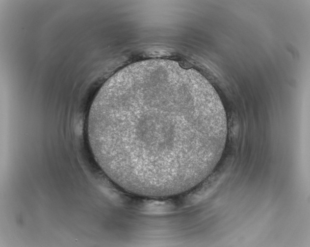 X0000111020315200907171900